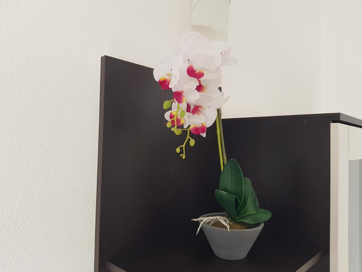 ספליט Apartman Mia With Pool1 מראה חיצוני תמונה