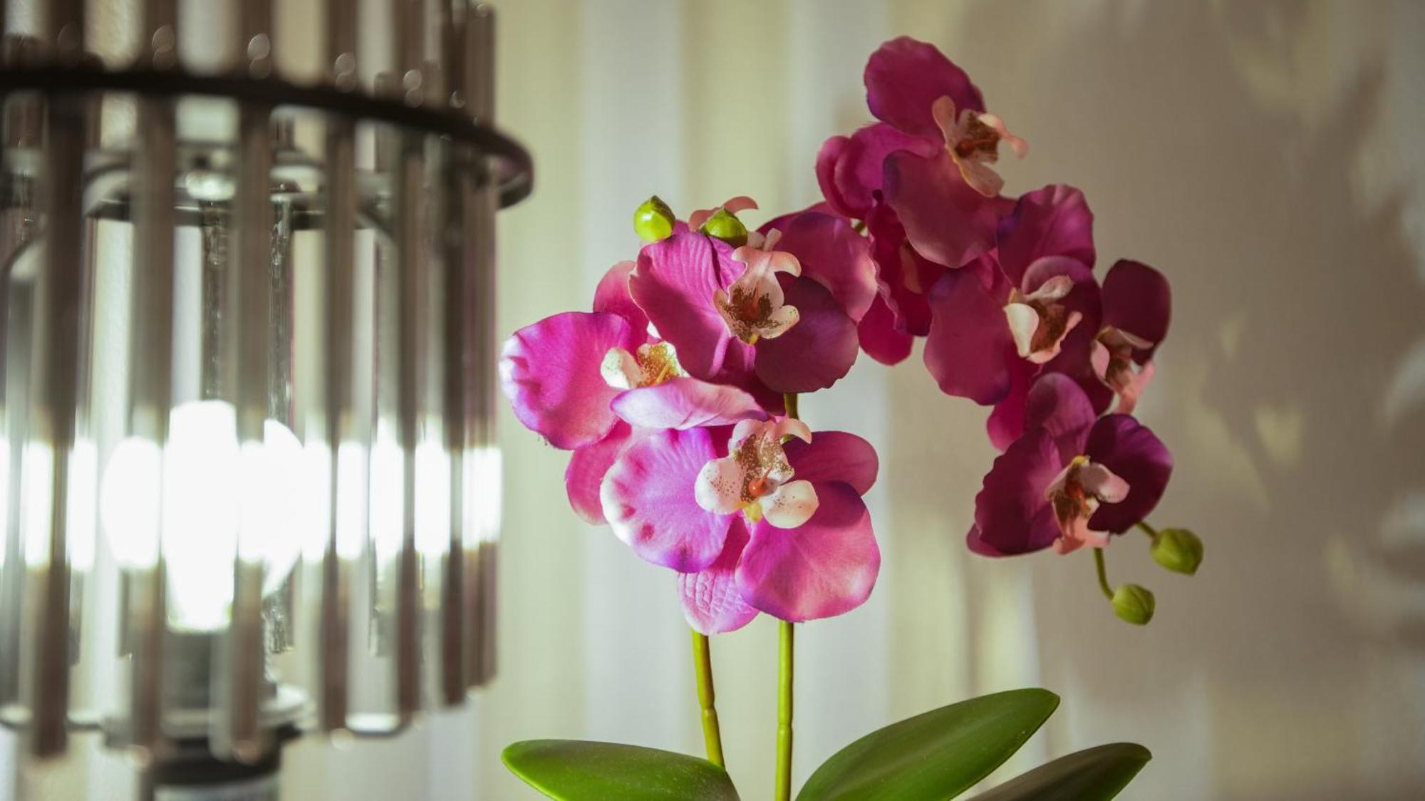 ספליט Apartman Mia With Pool1 מראה חיצוני תמונה